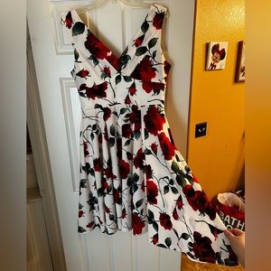 Red Valentine Roses Swing Dress
